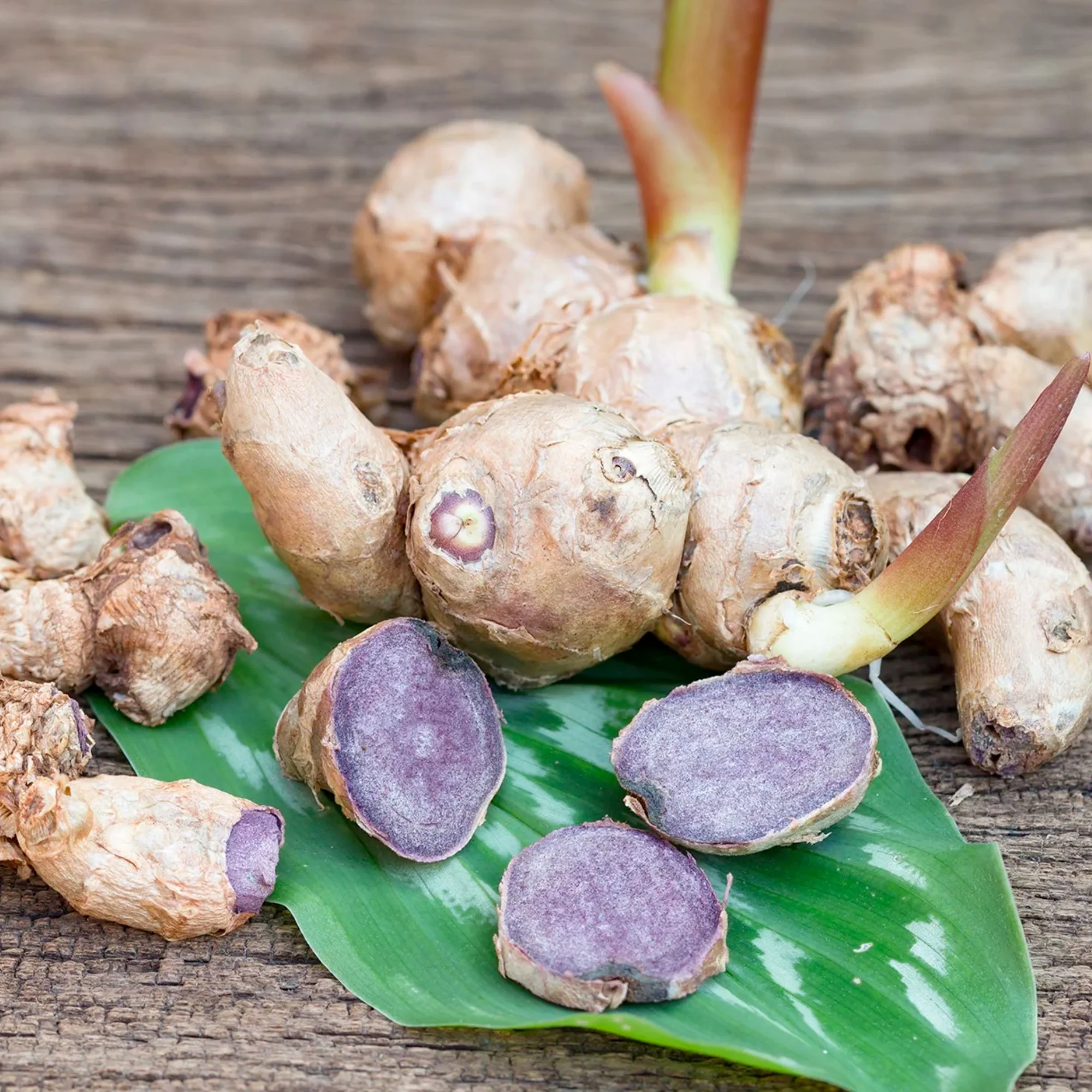 Aged Black Ginger, Instant Tea - Image 2